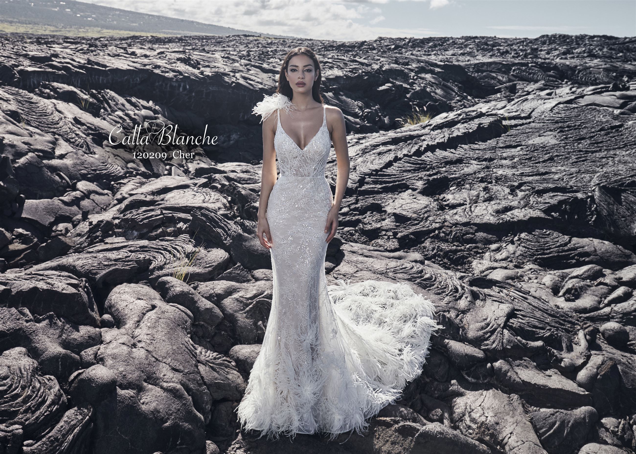 Calla Blanche Trunk Show Main Image