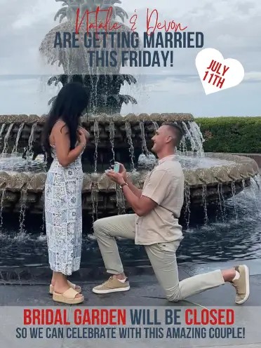Instagram #2