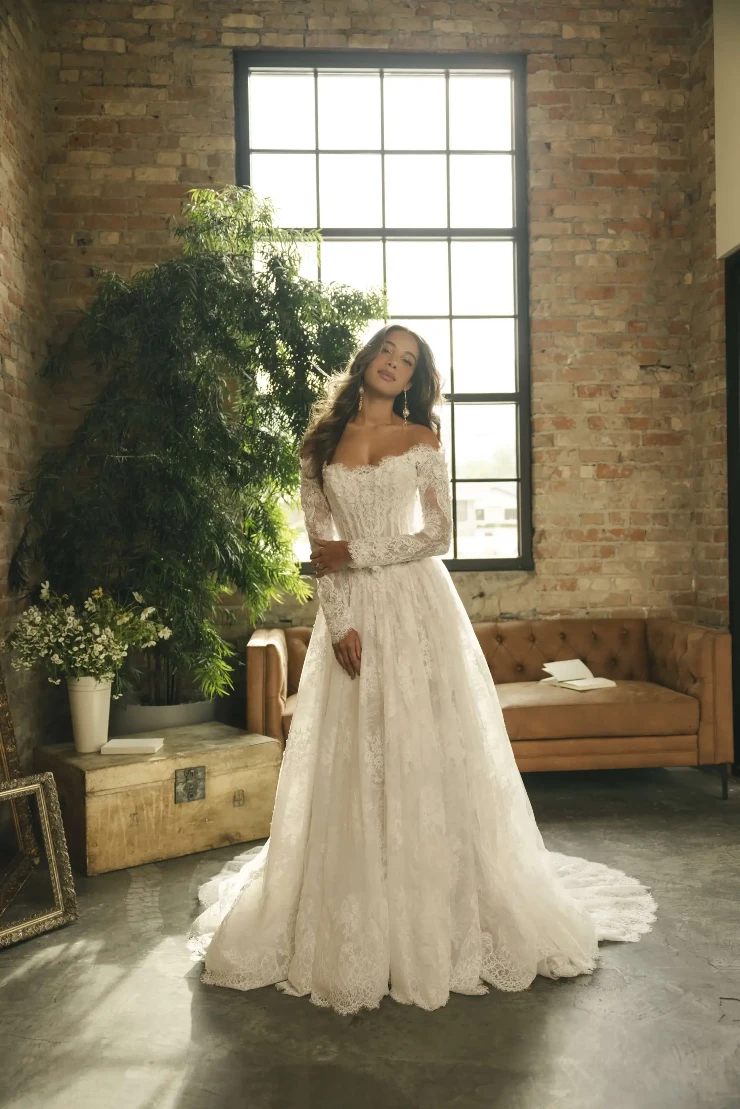 garden wedding bride dress Princess Wedding Dress with Illusion Sleeves,Tulle Outdoor Wedding  Dress,WD00451