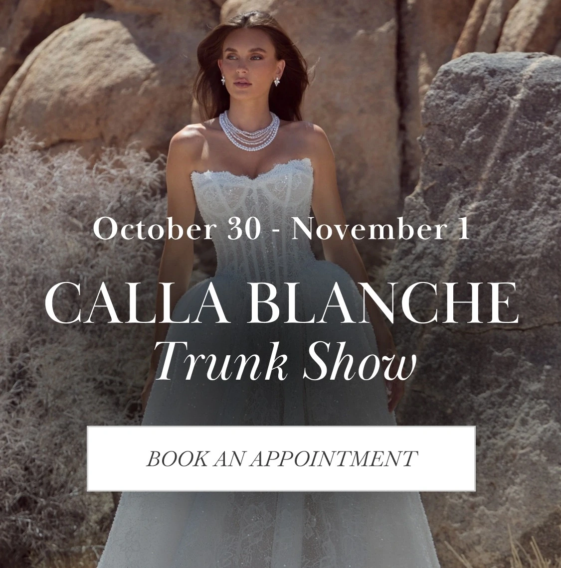 Model wearing Calla Blanche wedding dress, Trunk Show mobile banner
